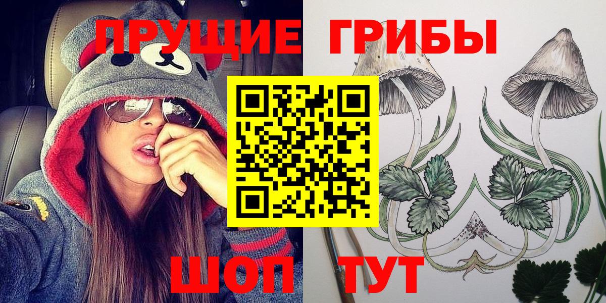 Псилоцибиновые грибы ЛСД Гуково